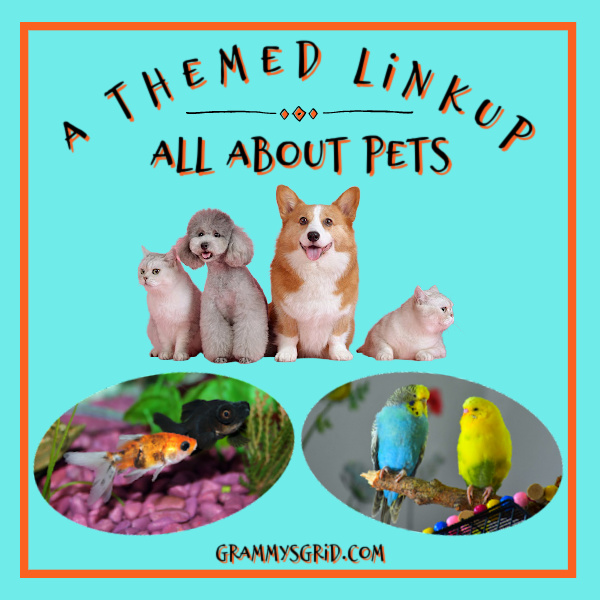 Party with us at #AThemedLinkup for All About Pets. We leave comments and share your entries. #LinkUp #LinkParty #BlogParty