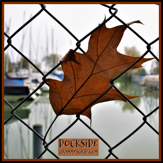 DOCKSIDE – WORDLESS WEDNESDAY #dockside #leaf #fall #wordless #wednesday #wordlesswednesday #photo #photography